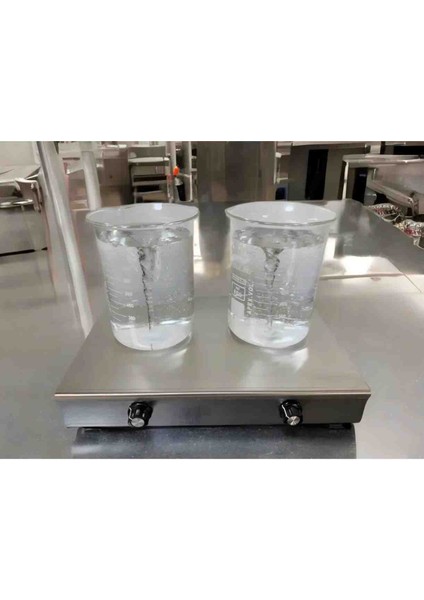 Manyetik Karıştırıcı Ikili Paslanmaz Çelik 2 Adet 6X20 mm Manyetik Balık fırsatları