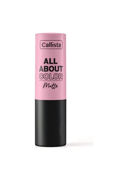All About Color Matte Lipstick Mat Görünümlü Ruj - No:510 Midight Mulberry Bordo - 1 Adet