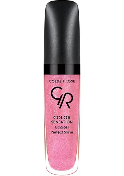 Color Sensation Lipgloss - No:110 - 1 Adet
