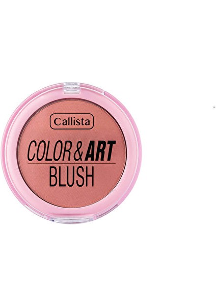 Color Art Blush Allık - No:170 Berry Bliss - 1 Adet