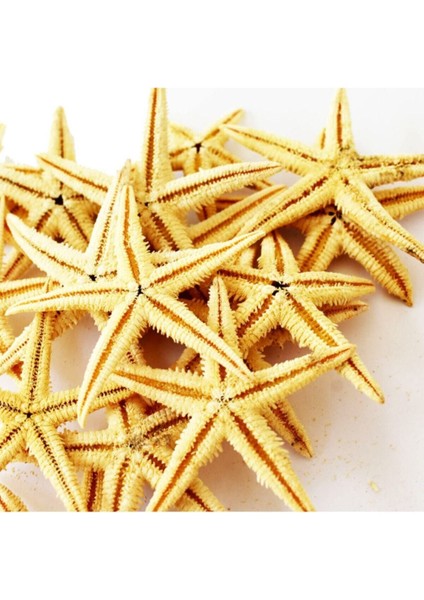 Pembe Deniz Yıldızı 7,5-9,5 Cm, 10'lu Paket, Parti ve Dekor Malzemeleri
