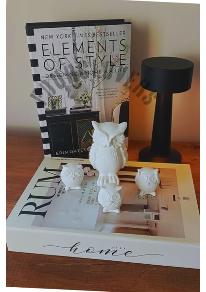 Baykuş Biblo Set 4'lü Dekoratif Obje fiyatları