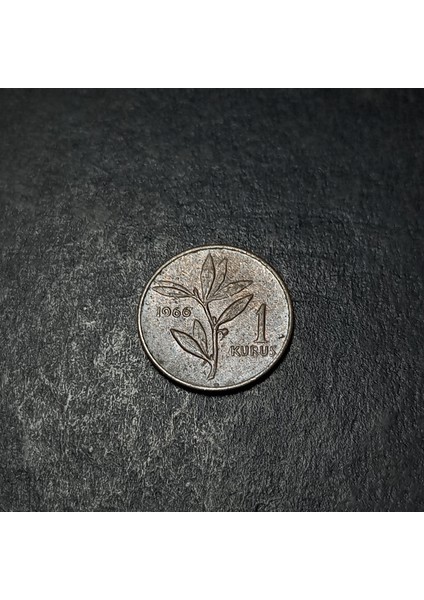 39963687341AF2E6C7 1kuruş 1966 Eski Madeni Para modelleri