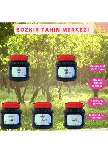 Sağlık Beşlisi Paketi & (Üzüm, Andız, Kozalak, Keçiboynuz, Karadut Pekmezi) 4750 gr modelleri