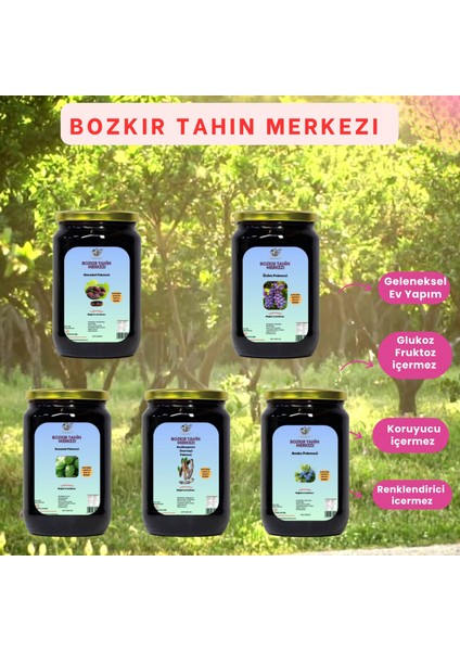 Şifa Paketi (Üzüm, Andız, Kozalak, Keçiboynuz, Karadut Pekmezi) 4000 gr