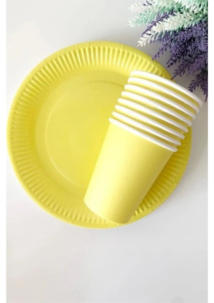 Renkli ve Dayanıklı Kullan-At Doğum Günü Parti Seti, 8 Adet, 22 Cm, Karton Tabak ve Bardak fiyatları