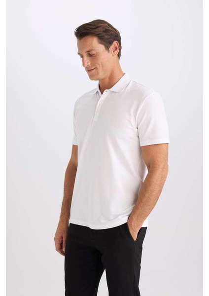 Yeni Sezon Slim Fit Dar Kesim Kısa Kollu Pamuklu Basic Düz Polo Tişört modelleri