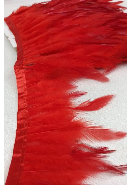 Kırmızı Horoz Tüy Dekoratif Şerit Aksesuar, Parti ve Dekorasyon Malzemeleri fiyatları