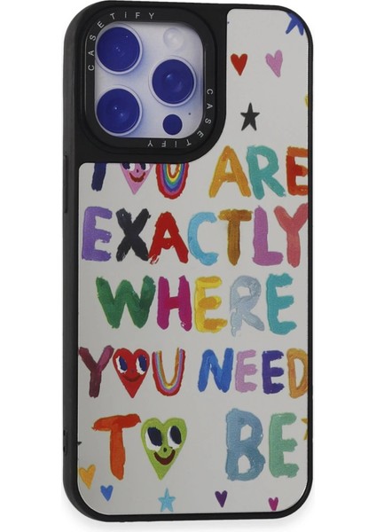 iPhone 15 Pro Max Kılıf Mirror Desenli Kapak - Mirror - 10 - TOA4776-3313