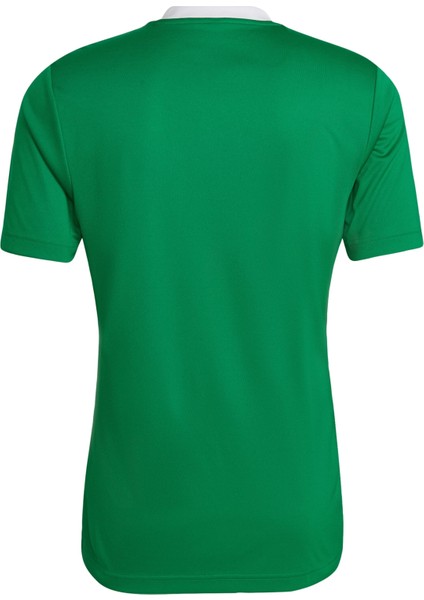 Performance HI2123 Entrada 22 Jersey indirimleri