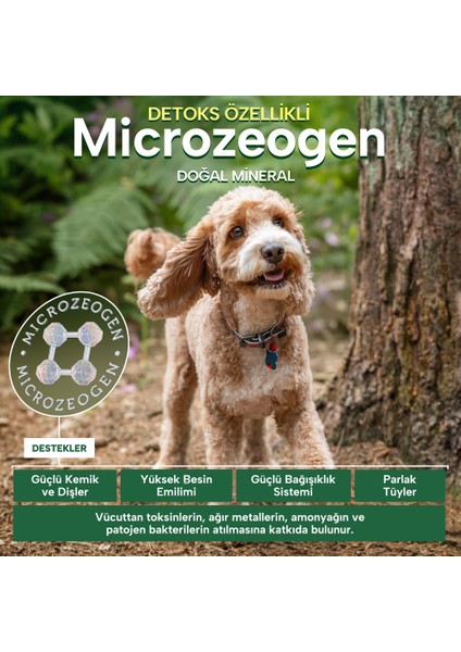 Nature's Protection Küçük Irk Somonlu Yetişkin Köpek Maması 2 kg modelleri