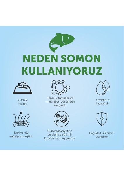 Nature's Protection Küçük Irk Somonlu Yetişkin Köpek Maması 2 kg fırsatları