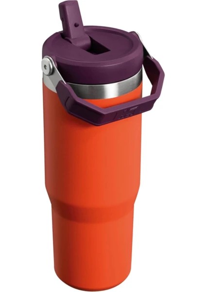 The Iceflow Flip Straw Pipetli Termos Bardak 0,89 Lt Turuncu