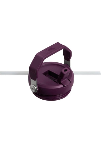 The Iceflow Flip Straw Pipetli Termos Bardak 0,89 Lt Turuncu fiyatları