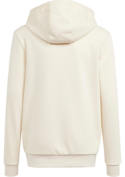 Originals IN0623 VRCT Hoodie indirimleri