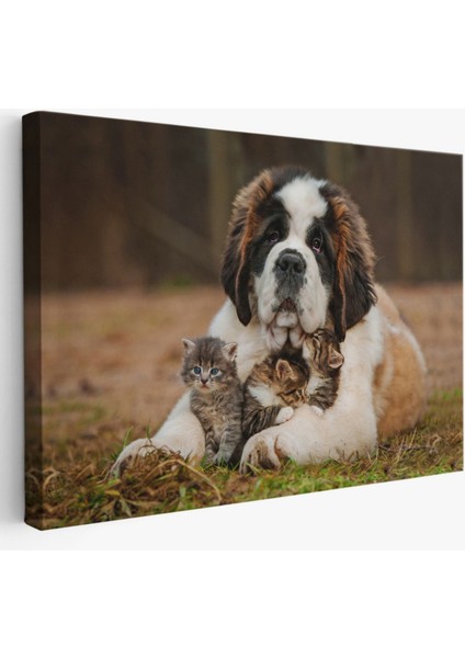 Yavru Kediler ve St Bernard Köpek, Hayvan Temalı Dekoratif Kanvas Tablo, Duvar Dekoru 1124