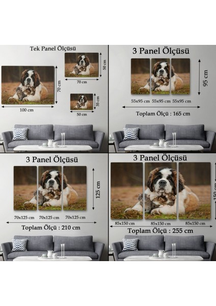 Yavru Kediler ve St Bernard Köpek, Hayvan Temalı Dekoratif Kanvas Tablo, Duvar Dekoru 1124 fırsatları