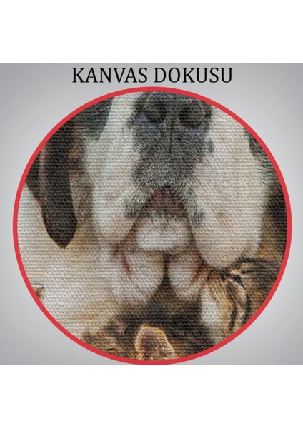 Yavru Kediler ve St Bernard Köpek, Hayvan Temalı Dekoratif Kanvas Tablo, Duvar Dekoru 1124