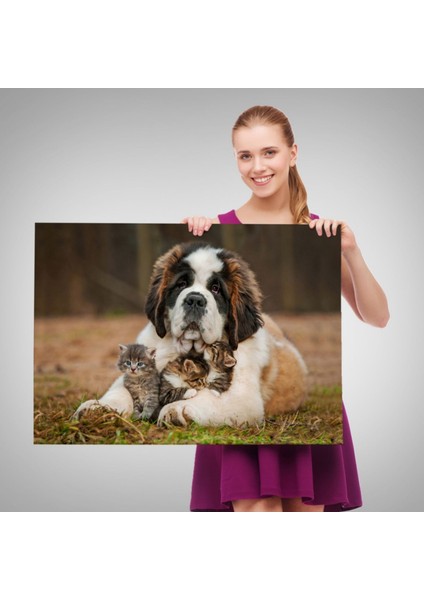 Yavru Kediler ve St Bernard Köpek, Hayvan Temalı Dekoratif Kanvas Tablo, Duvar Dekoru 1124