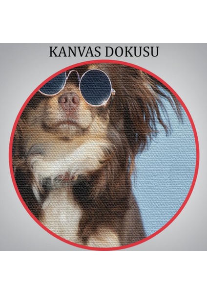 Küçük Köpek, Hayvan Temalı Dekoratif Kanvas Tablo, Duvar Dekoru 1157