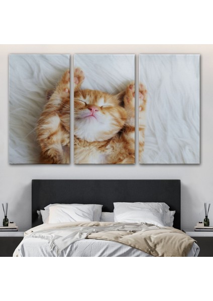 Kedi Yavrusu, Hayvan Temalı Dekoratif Kanvas Tablo, Duvar Dekoru 1125 modelleri