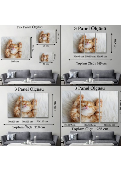 Kedi Yavrusu, Hayvan Temalı Dekoratif Kanvas Tablo, Duvar Dekoru 1125 fırsatları
