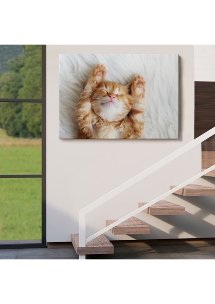 Kedi Yavrusu, Hayvan Temalı Dekoratif Kanvas Tablo, Duvar Dekoru 1125 indirimleri