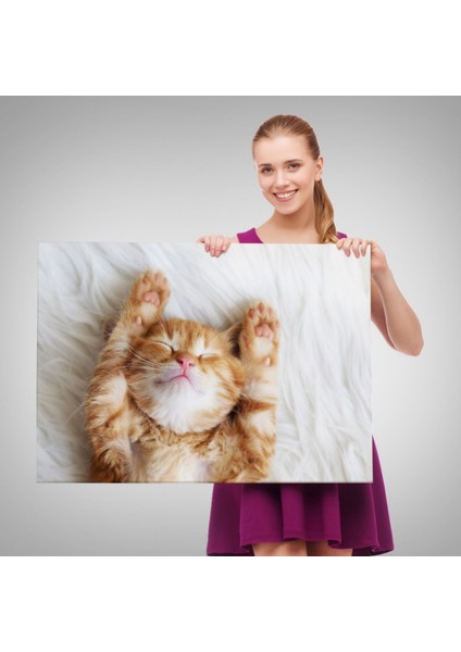 Kedi Yavrusu, Hayvan Temalı Dekoratif Kanvas Tablo, Duvar Dekoru 1125