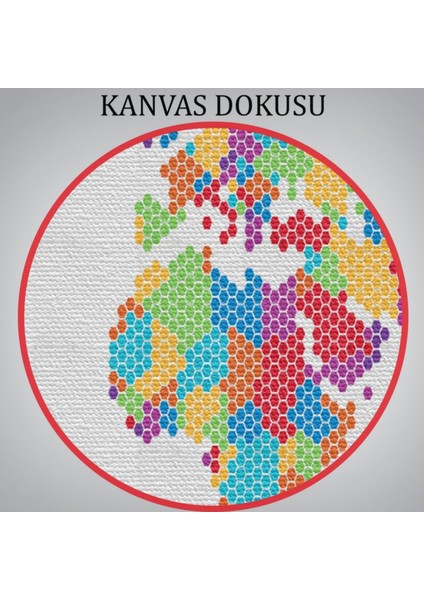 Bal Peteği Desenli Dünya Haritası Renkli Dekoratif Kanvas Tablo, Duvar Dekoru 1071