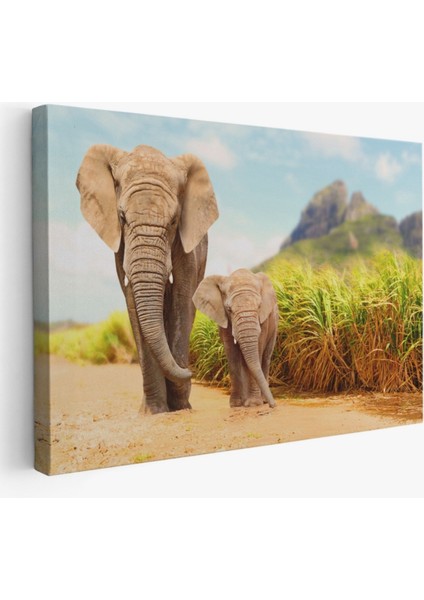 Fil ve Yavrusu, Hayvan Temalı Dekoratif Kanvas Tablo, Duvar Dekoru 1144