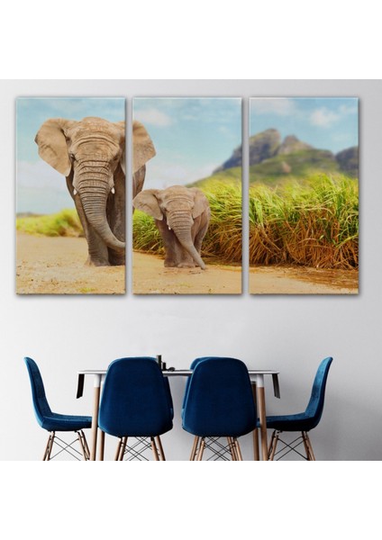 Fil ve Yavrusu, Hayvan Temalı Dekoratif Kanvas Tablo, Duvar Dekoru 1144 modelleri