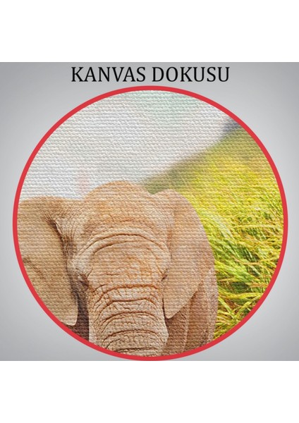 Fil ve Yavrusu, Hayvan Temalı Dekoratif Kanvas Tablo, Duvar Dekoru 1144