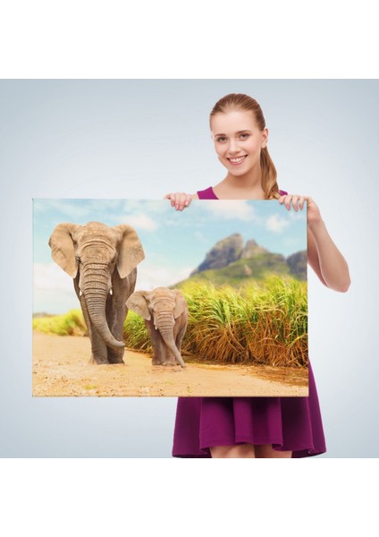 Fil ve Yavrusu, Hayvan Temalı Dekoratif Kanvas Tablo, Duvar Dekoru 1144