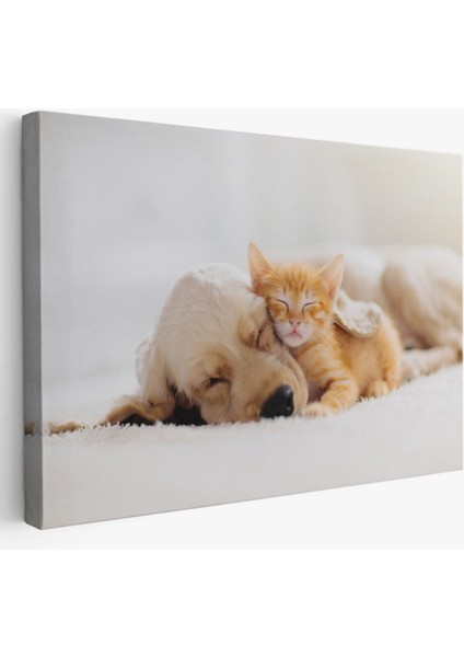 Uyuyan Yavru Kedi Ile Golden Köpek, Hayvan Temalı Dekoratif Kanvas Tablo, Duvar Dekoru 1176