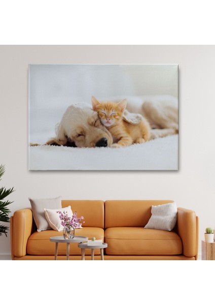 Uyuyan Yavru Kedi Ile Golden Köpek, Hayvan Temalı Dekoratif Kanvas Tablo, Duvar Dekoru 1176 fiyatları