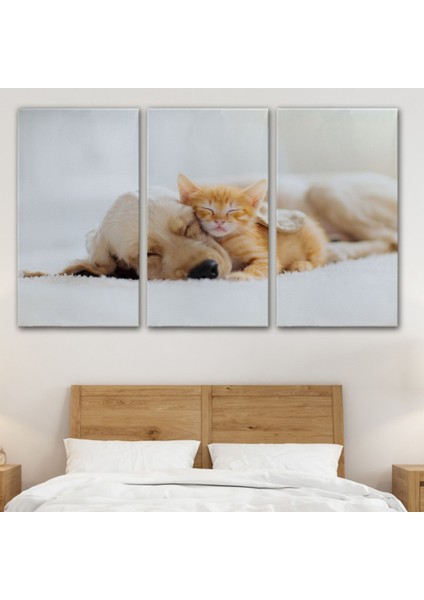 Uyuyan Yavru Kedi Ile Golden Köpek, Hayvan Temalı Dekoratif Kanvas Tablo, Duvar Dekoru 1176 modelleri
