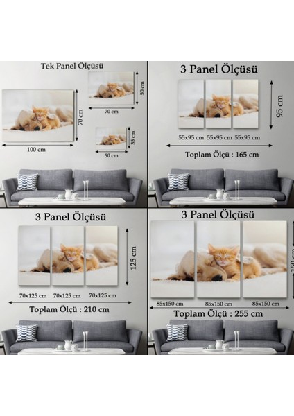 Uyuyan Yavru Kedi Ile Golden Köpek, Hayvan Temalı Dekoratif Kanvas Tablo, Duvar Dekoru 1176 fırsatları