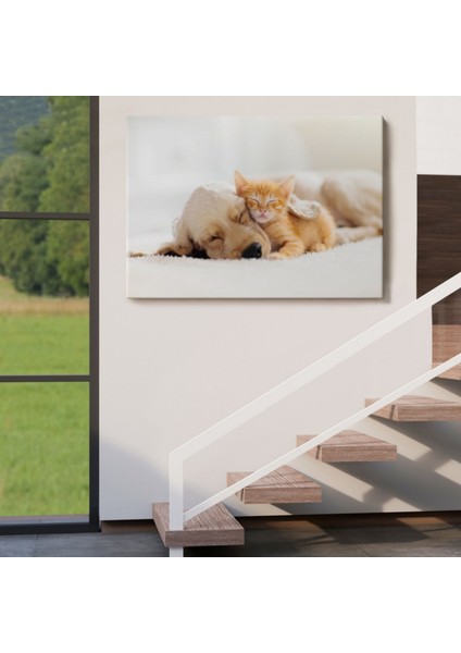 Uyuyan Yavru Kedi Ile Golden Köpek, Hayvan Temalı Dekoratif Kanvas Tablo, Duvar Dekoru 1176 indirimleri