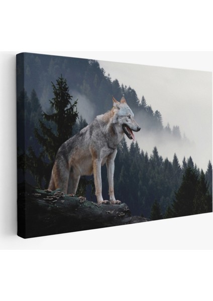 Bozkurt, Hayvan Temalı Dekoratif Kanvas Tablo, Duvar Dekoru 1148