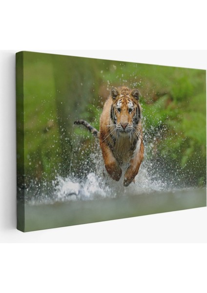 Koşan Kaplan, Hayvan Temalı Dekoratif Kanvas Tablo, Duvar Dekoru 1142