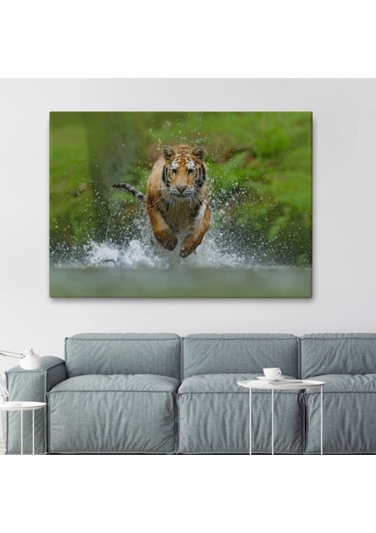 Koşan Kaplan, Hayvan Temalı Dekoratif Kanvas Tablo, Duvar Dekoru 1142 fiyatları