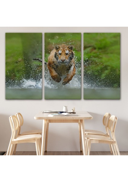 Koşan Kaplan, Hayvan Temalı Dekoratif Kanvas Tablo, Duvar Dekoru 1142 modelleri