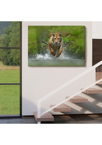 Koşan Kaplan, Hayvan Temalı Dekoratif Kanvas Tablo, Duvar Dekoru 1142 indirimleri