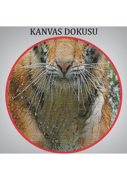 Koşan Kaplan, Hayvan Temalı Dekoratif Kanvas Tablo, Duvar Dekoru 1142