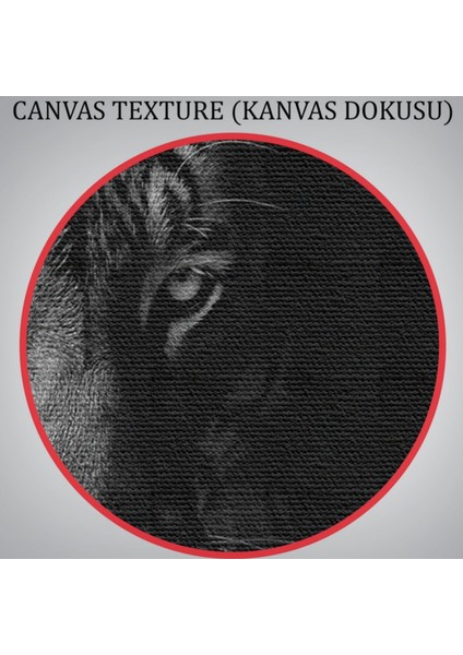 Kaplan, Hayvan Temalı Dekoratif Kanvas Tablo, Duvar Dekoru 1163