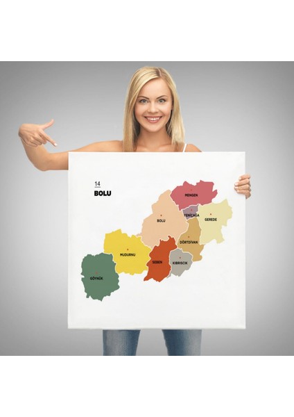 Il ve Ilçeler Haritası Bolu, Modern Dekoratif Kanvas Tablo, Duvar Dekoru 1301
