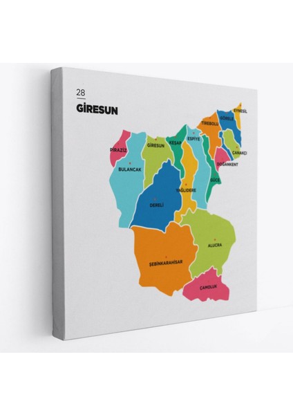 Il ve Ilçeler Haritası Giresun, Modern Dekoratif Kanvas Tablo, Duvar Dekoru 1345