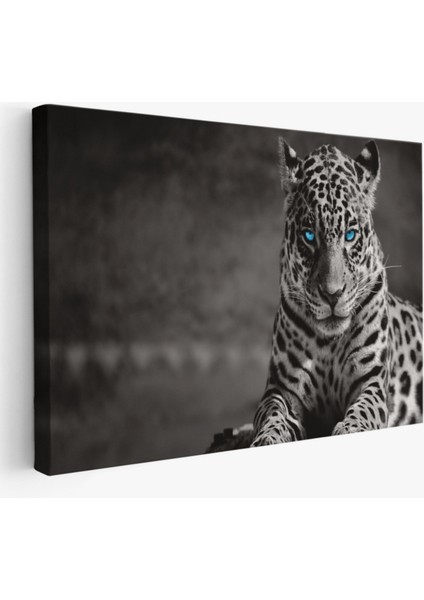 Mavi Gözlü Leopar, Hayvan Temalı Dekoratif Kanvas Tablo, Duvar Dekoru 1162