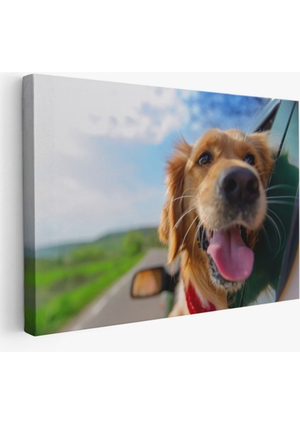 Köpek, Hayvan Temalı Dekoratif Kanvas Tablo, Duvar Dekoru 1130