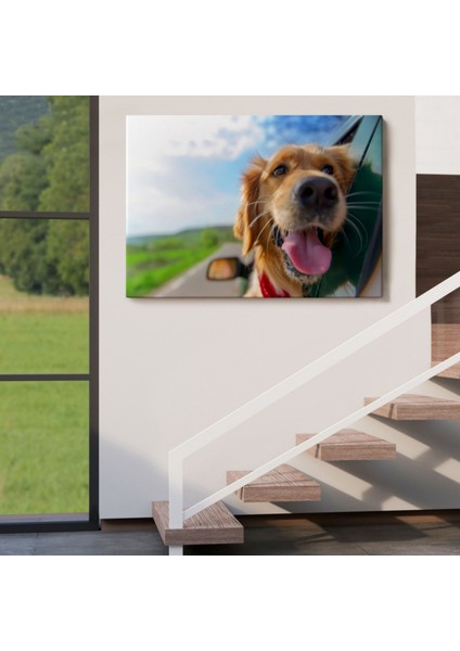 Köpek, Hayvan Temalı Dekoratif Kanvas Tablo, Duvar Dekoru 1130 indirimleri